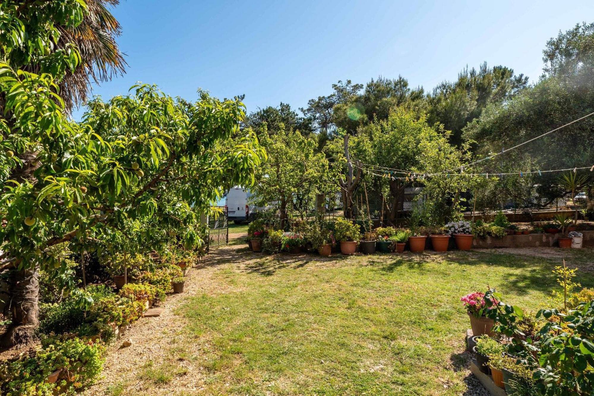 Apartments By The Sea Privlaka, Zadar - 666 Εξωτερικό φωτογραφία